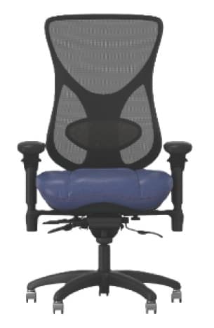 AnthroCore chair render