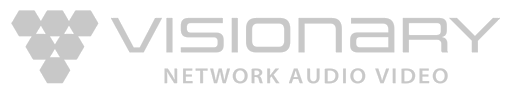 Visionary Solutions logo